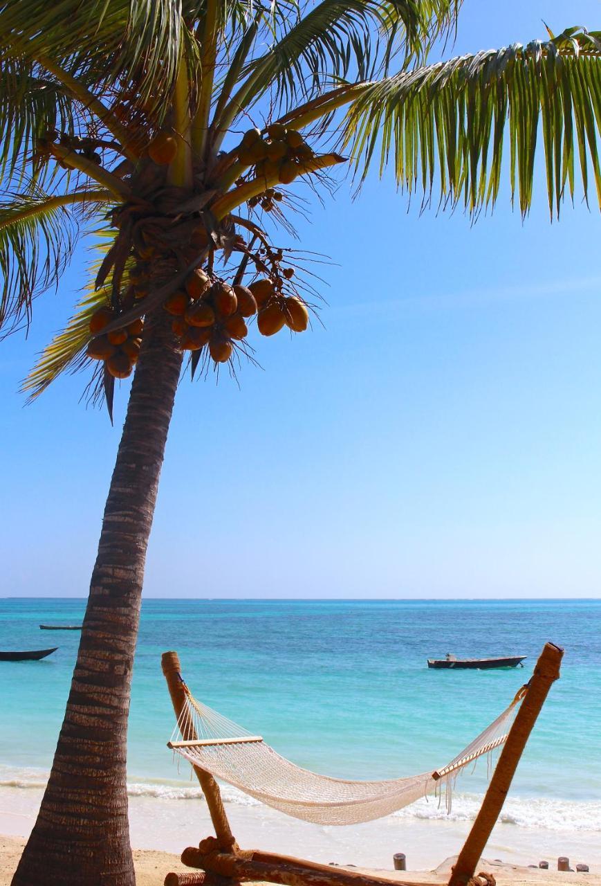 Blue Oyster Hotel Jambiani  Εξωτερικό φωτογραφία